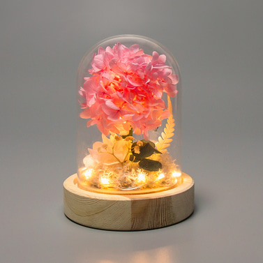 무드등 수국생화 유리돔 무선 LED 꽃 장미 튤립 무드등 조명 LML-PF01